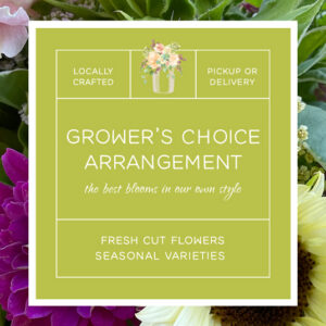Brewhouse Blooms Grower's Choice Arrangement